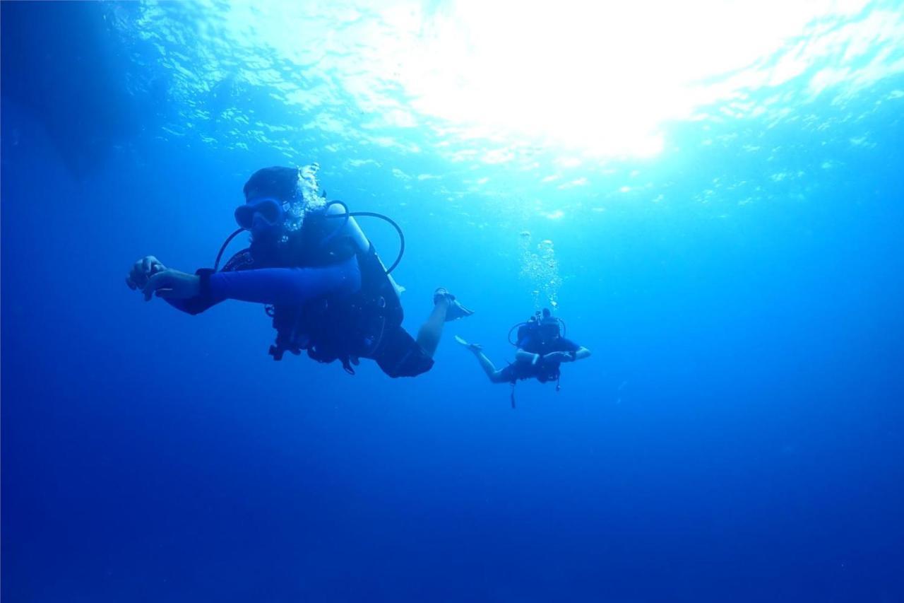 Escape Divers - Jungle Hostel And Dive Centre เกาะเต่า ภายนอก รูปภาพ